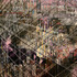 20111231042222-edwards_rodolfo_05_betweenchaos__2011_68x58_mixedmedia_1950