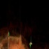 20120101153435-allatillsalem_1