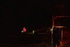 20120101153527-allatillsalem_2