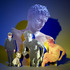 20120101193122-lipps_youth