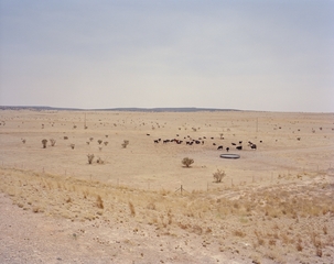 ,Mustafah Abdulaziz