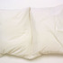 20120102231158-leor-grady-untitled-pillow