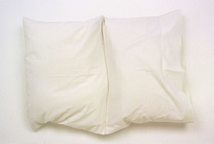 20120102231158-leor-grady-untitled-pillow