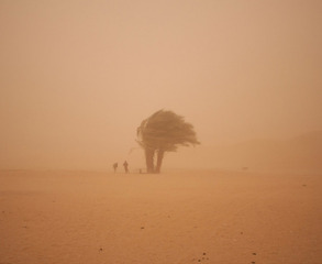 Sandstorm,Greg Maka