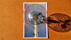 20120105143829-1john_strutton__still_from_cactus_and_curtains__2011