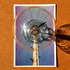 20120105143829-1john_strutton__still_from_cactus_and_curtains__2011