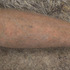 20120105160416-altfest__ellen-the_leg