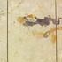 20120106084410-chang1