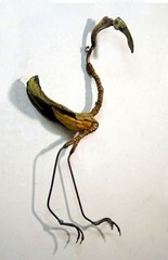 Crane,