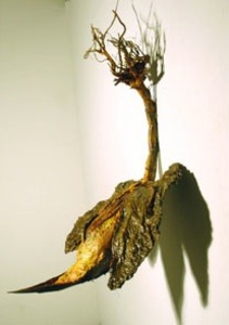 20120106150438-aerial-treepod_3