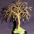 20120106205052-bonsai_with_leaves_-_mini_2400