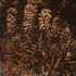 20120106232307-spurge