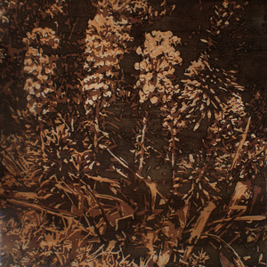 20120106232307-spurge