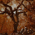 20120106232635-last_one_standing