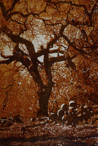 20120106232635-last_one_standing