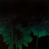 20120107145325-green_flowers_48x48