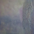 Rberrellez__horizon_1_of_3__latex__oil_on_canvas_30