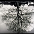 20120108165040-trees_banner_lg