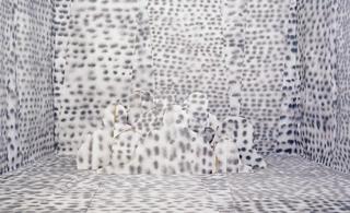 ,Gina Osterloh