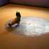 20120108184526-euh_rooster_2011