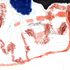20130111205643-map_evolving_scan
