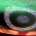 20120109193247-thespacedistortionringsml