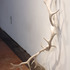 20120110001250-midland_detail2_cargo