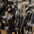 20120110001547-poppies_detail3_cargo