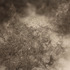 20120110003426-barely_anything_detail_cargo