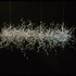 20120110003001-hula_cargo_1