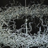 20120110003100-hula_detail_cargo_1