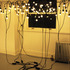 20120110003614-vineyard_cargo