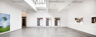 Installation View,