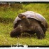 20120110095125-simon_clark_postcard_front