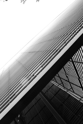 20120110145015-dsc_0686_copy