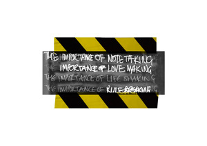 20120110182245-the_importance