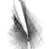 20120110230623-5_cp_2012_2