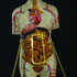 20120111171413-sondra_schwetman__under_my_skin__2009__300dpi