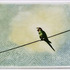 20120112060139-born-free1