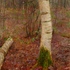 20120112060435-q