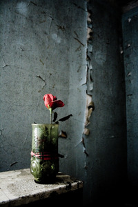20120113091434-_mg_3074_2_3