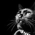 20120113093208-ramona