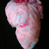 20120113161216-2011-i-love-pink-cocoon