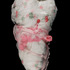 20120113164424-2011-lingerie-cocoon
