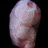 20120113164636-2009-cocoon-preemie-alt