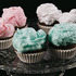 20120113210148-2010-heather-acupcakes-detail