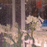 20120113223702-narcissuss3