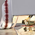 20120113230745-jesse_potts-heirloom4