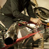 20120113231131-jesse_potts-heirloom8