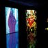 20120114035112-malani-exhib-page_510x314px